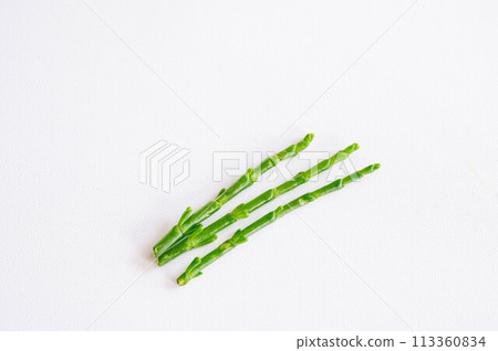 來自以色列的海蘆筍 113360834