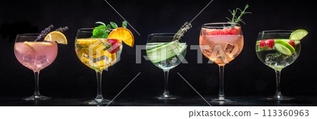 Fancy cocktails with fresh fruit. Gin and tonic drinks with ice at a party Fancy cocktails with fresh fruit. Gin and tonic drinks with ice at a party 113360963