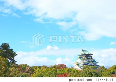 大阪府大阪市大阪城風景 大阪府大阪市大阪城風景 113361041