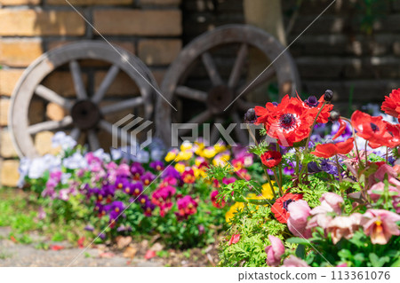 春天的久屋大通花園Florie，花朵盛開<愛知縣名古屋市> 113361076
