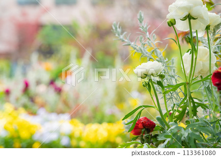春天的久屋大通花園Florie,花朵盛開<愛知縣名古屋市> 春天的久屋大通花園Florie,花朵盛開<愛知縣名古屋市> 113361080