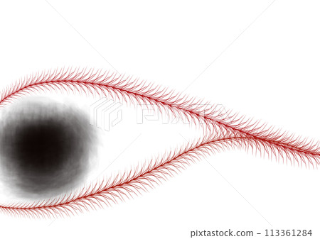 Eye 113361284