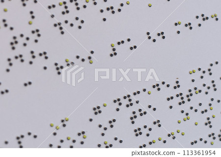 Braille Text on White Surface 113361954