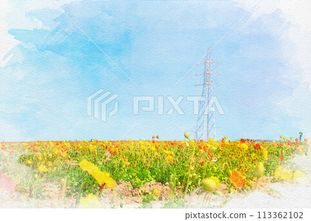 [Chita District] Watercolor poppy paintings at the Flower Plaza tourist farm 113362102