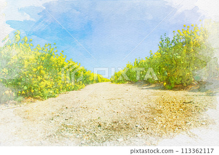 【知多縣】哈納廣場觀光農場的油菜花田水彩畫 113362117