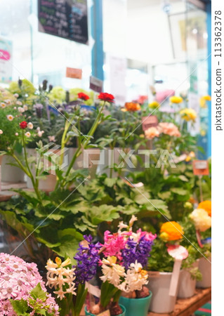 Flower shop 113362378