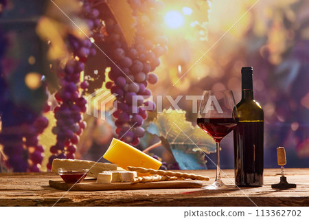 Captivating image showing essence of winemaking, with wine bottle and glass of red wine, cheese set on backdrop of scenic grape trees 113362702