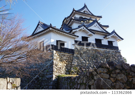 National treasure Hikone Castle 113362866