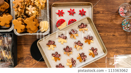 Preparing star-shaped cookies, half-dipped in chocolate, accented with peppermint chocolate chips for the holidays. 113363062