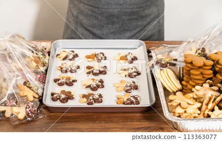 Carefully packaging Christmas cutout cookies, half-dipped in chocolate and presented in clear cellophane wrapping, perfect for festive gifting. Carefully packaging Christmas cutout cookies, half-dipped in chocolate and presented in clear cellophane wrapping, perfect for festive gifting. 113363077