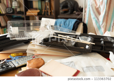 房間凌亂,整理物品,房間髒亂 房間凌亂,整理物品,房間髒亂 113363702