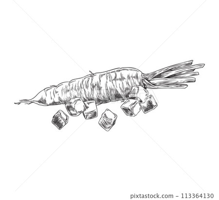 Hand drawn black and white sketch of a carrot on an isolated background. 113364130