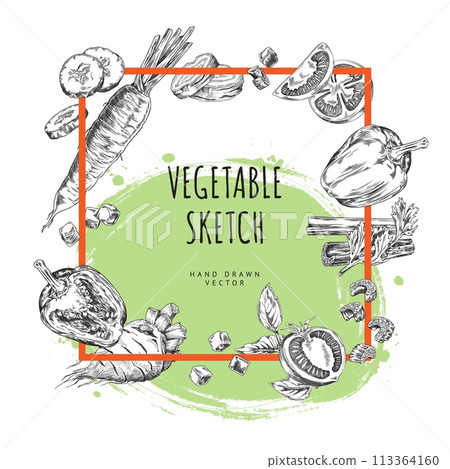 Hand-drawn vegetables modern frame vector set Hand-drawn vegetables modern frame vector set 113364160