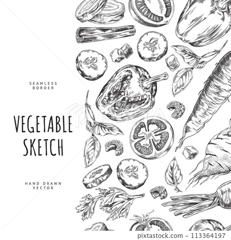 Seamless vertical border with farm vegetables with parsley basil leaves engraved hand drawn vector, natural plant food 113364197