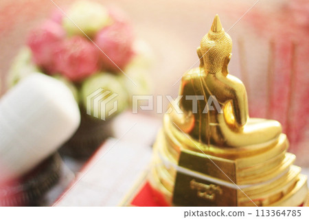 Behide golden Buddha statue in the temple Behide golden Buddha statue in the temple 113364785