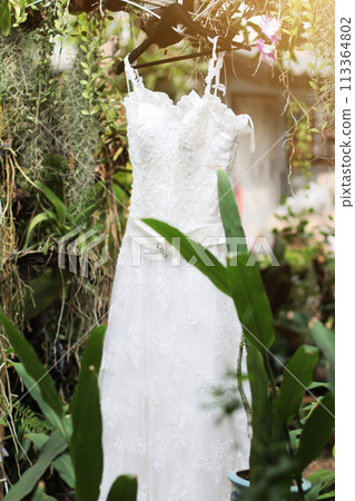 Bridal wedding dress hanging on the tree branch in the garden Bridal wedding dress hanging on the tree branch in the garden 113364802