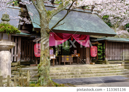 Flower Exchange Festival at Kanegasaki Shrine in Tsuruga City, Fukui Prefecture 113365136