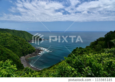 The blue of the sky and sea stands out against the green of the trees on Yokonami Peninsula in Kochi Prefecture. The blue of the sky and sea stands out against the green of the trees on Yokonami Peninsula in Kochi Prefecture. 113365185