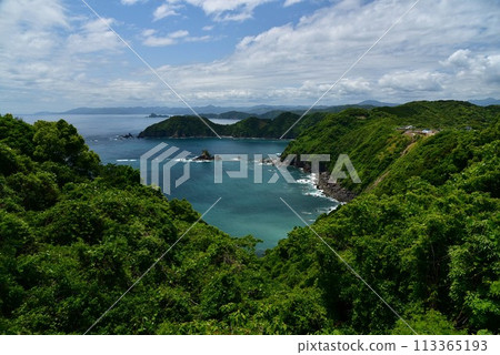 高知縣橫併半島,藍天碧海與綠樹映襯。 高知縣橫併半島,藍天碧海與綠樹映襯。 113365193