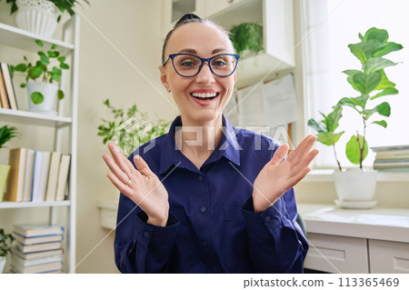 Webcam view of smiling 30s woman talking looking at camera Webcam view of smiling 30s woman talking looking at camera 113365469