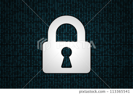 Security on a binary code Security on a binary code 113365541