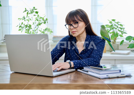Middle aged woman sitting at workplace in home office, holding pet parrot on shoulder Middle aged woman sitting at workplace in home office, holding pet parrot on shoulder 113365589