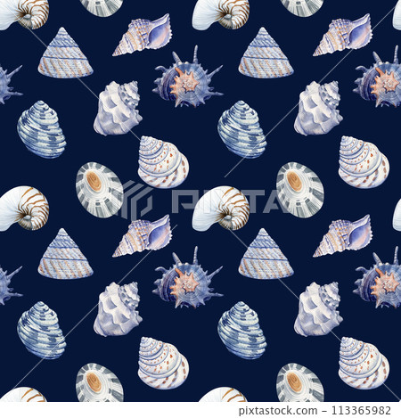 Watercolor marine seamless patterns. Seashells nautical wallpaper, background Hand drawn painting. Blue sea shell Watercolor marine seamless patterns. Seashells nautical wallpaper, background Hand drawn painting. Blue sea shell 113365982