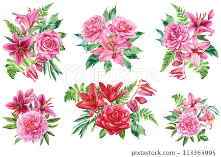 Pink floral set. Peony, rose and lily flower isolated on white background. Hand drawn watercolor botanical illustration 113365995