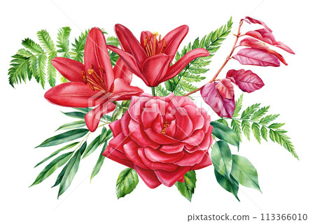 Pink floral set. red rose and lily flower isolated on white background. Hand drawn watercolor botanical illustration Pink floral set. red rose and lily flower isolated on white background. Hand drawn watercolor botanical illustration 113366010