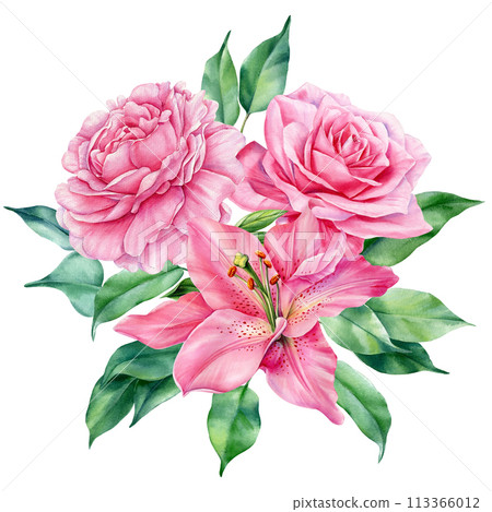 Pink floral set. Peony, rose and lily flower isolated on white background. Hand drawn watercolor botanical illustration Pink floral set. Peony, rose and lily flower isolated on white background. Hand drawn watercolor botanical illustration 113366012