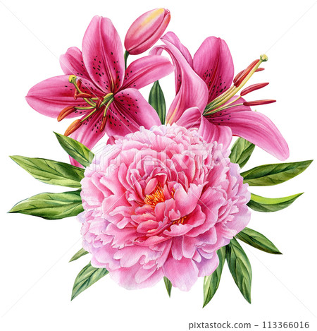Pink floral set. Peony, rose and lily flower isolated on white background. Hand drawn watercolor botanical illustration Pink floral set. Peony, rose and lily flower isolated on white background. Hand drawn watercolor botanical illustration 113366016