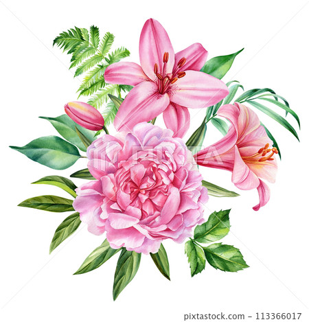 Pink floral set. Peony, leaves and lily flower isolated white background. Hand drawn watercolor botanical illustration Pink floral set. Peony, leaves and lily flower isolated white background. Hand drawn watercolor botanical illustration 113366017