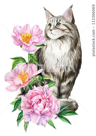 Cute cat with beautiful flowers of peonies and roses isolated background, watercolor Hand drawing, card, poster Cute cat with beautiful flowers of peonies and roses isolated background, watercolor Hand drawing, card, poster 113366069