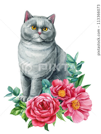 Cute cat with beautiful flowers of peonies and roses isolated background, watercolor Hand drawing, card, poster Cute cat with beautiful flowers of peonies and roses isolated background, watercolor Hand drawing, card, poster 113366073