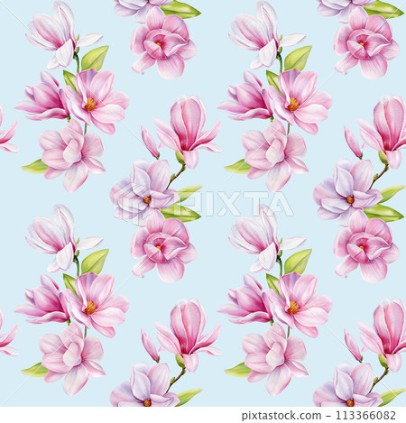 Spring magnolia blooming flowers. Seamless pattern pink petals, blossom, branches. Design spring floral background 113366082