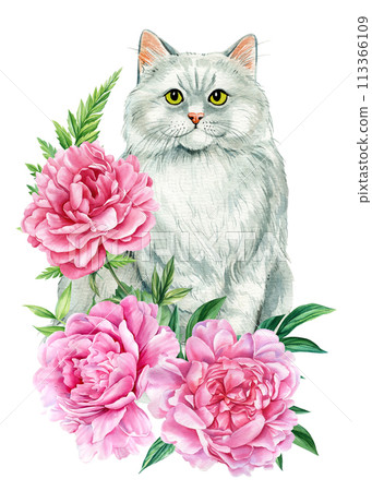 Cute cat with roses, peonies flowers, leaves on an isolated white background, animals illustration poster, watercolor 113366109