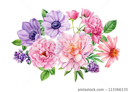 Vintage floral anemones, roses, peony on isolated white background. Watercolor hand drawn botanical illustration, flora 113366135