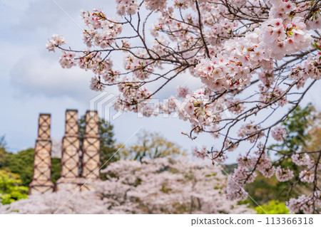 【靜岡縣】櫻花盛開的韭山反射爐 113366318