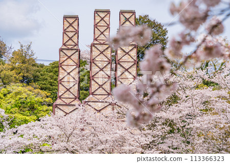 [Shizuoka Prefecture] Nirayama Reverberatory Furnace with cherry blossoms in full bloom 113366323