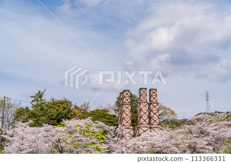 [Shizuoka Prefecture] Nirayama Reverberatory Furnace with cherry blossoms in full bloom 113366331