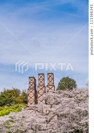 [Shizuoka Prefecture] Nirayama Reverberatory Furnace with cherry blossoms in full bloom 113366343