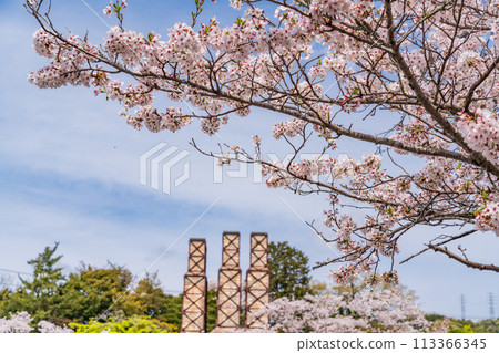 [Shizuoka Prefecture] Nirayama Reverberatory Furnace with cherry blossoms in full bloom 113366345
