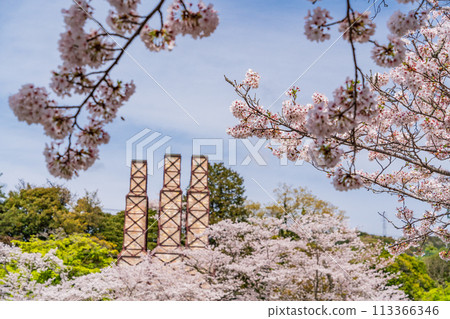[Shizuoka Prefecture] Nirayama Reverberatory Furnace with cherry blossoms in full bloom 113366346