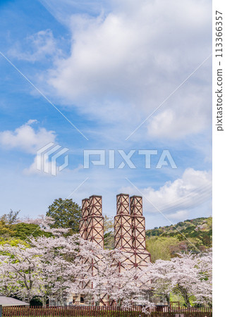 [Shizuoka Prefecture] Nirayama Reverberatory Furnace with cherry blossoms in full bloom 113366357