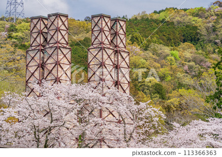[Shizuoka Prefecture] Nirayama Reverberatory Furnace with cherry blossoms in full bloom 113366363