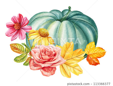 Pumpkin, rose flowers and yellow leaves on isolated background, watercolor botanical illustration, hand drawing flora Pumpkin, rose flowers and yellow leaves on isolated background, watercolor botanical illustration, hand drawing flora 113366377