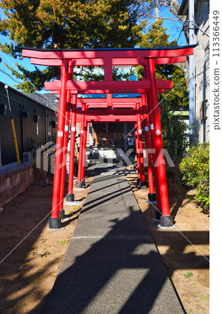 Shimoda Sumiyoshi Inari Shrine (Shimoda City, Shizuoka Prefecture) Shimoda Sumiyoshi Inari Shrine (Shimoda City, Shizuoka Prefecture) 113366449