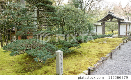 Pine trees and gates of Saihoji Temple, Kyoto Moss Temple 113366579