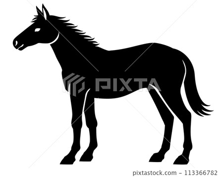 Horse silhouette 113366782