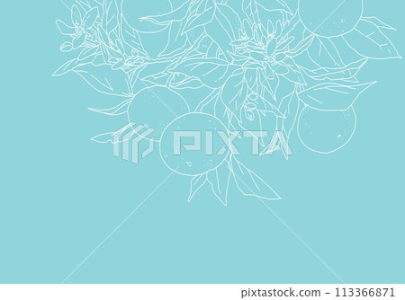 橙色與樹枝的簡單線條畫 橙色與樹枝的簡單線條畫 113366871
